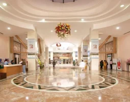 Apollo Hospitals